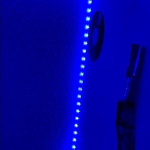 Meet your Posher, Jayden